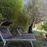 Tamas Limone sul Garda